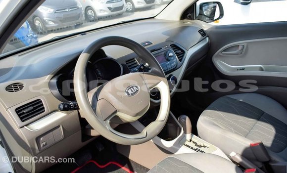 Buy Import Kia Picanto White Car in Import - Dubai in Enga Buy Import Kia Picanto White Car in Import - Dubai in Enga
