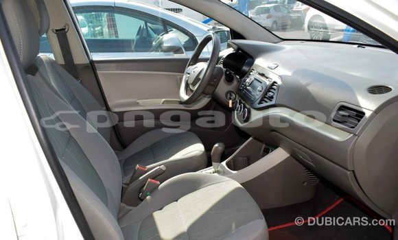 Buy Import Kia Picanto White Car in Import - Dubai in Enga Buy Import Kia Picanto White Car in Import - Dubai in Enga