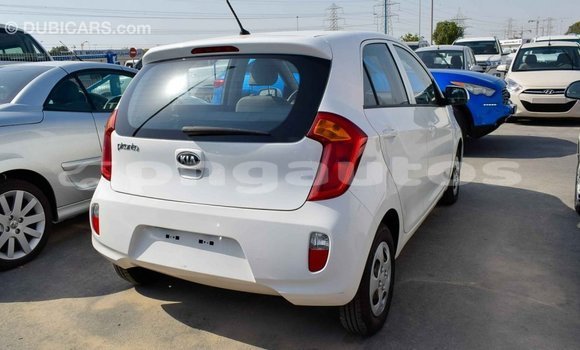 Buy Import Kia Picanto White Car in Import - Dubai in Enga Buy Import Kia Picanto White Car in Import - Dubai in Enga