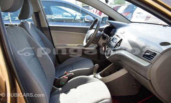 Buy Import Kia Picanto Brown Car in Import - Dubai in Enga Buy Import Kia Picanto Brown Car in Import - Dubai in Enga