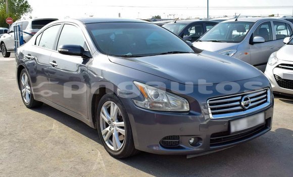Buy Import Nissan Maxima Other Car in Import - Dubai in Enga Buy Import Nissan Maxima Other Car in Import - Dubai in Enga
