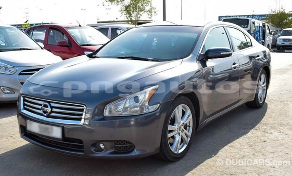 Buy Import Nissan Maxima Other Car in Import - Dubai in Enga Buy Import Nissan Maxima Other Car in Import - Dubai in Enga