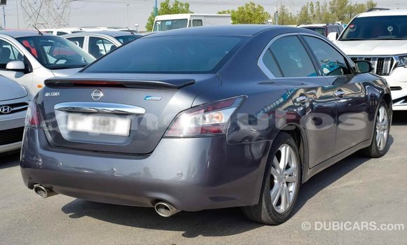 Buy Import Nissan Maxima Other Car in Import - Dubai in Enga Buy Import Nissan Maxima Other Car in Import - Dubai in Enga
