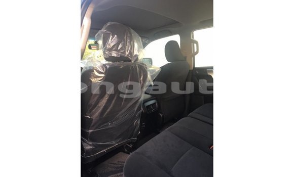 Buy Import Toyota Prado Black Car in Import - Dubai in Enga Buy Import Toyota Prado Black Car in Import - Dubai in Enga
