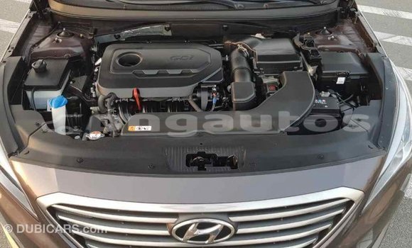 Buy Import Hyundai Sonata Brown Car in Import - Dubai in Enga Buy Import Hyundai Sonata Brown Car in Import - Dubai in Enga