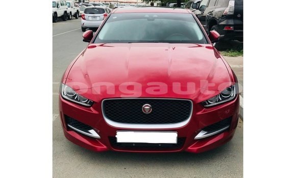 Buy Import Jaguar XE Red Car in Import - Dubai in Enga