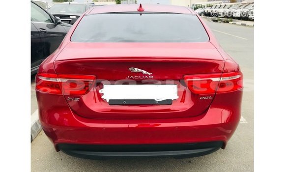Buy Import Jaguar XE Red Car in Import - Dubai in Enga Buy Import Jaguar XE Red Car in Import - Dubai in Enga