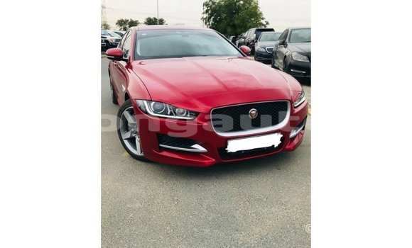 Buy Import Jaguar XE Red Car in Import - Dubai in Enga Buy Import Jaguar XE Red Car in Import - Dubai in Enga