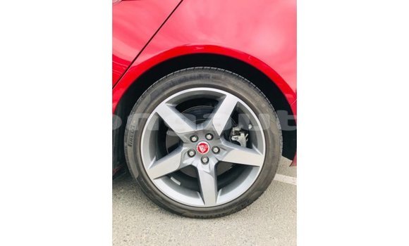 Buy Import Jaguar XE Red Car in Import - Dubai in Enga Buy Import Jaguar XE Red Car in Import - Dubai in Enga