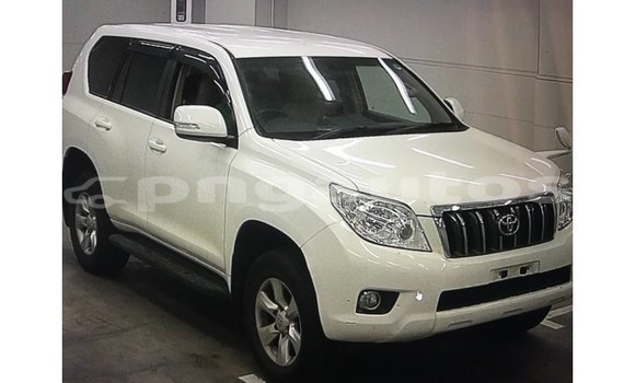 Buy Import Toyota Prado White Car in Import - Dubai in Enga Buy Import Toyota Prado White Car in Import - Dubai in Enga