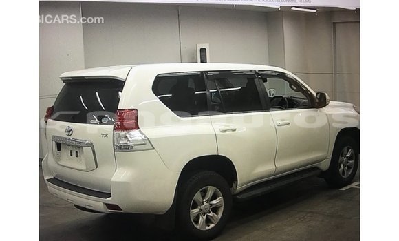Buy Import Toyota Prado White Car in Import - Dubai in Enga Buy Import Toyota Prado White Car in Import - Dubai in Enga