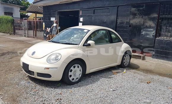 Buy Used Volkswagen Beetle Other Car in Vanimo in Sandaun