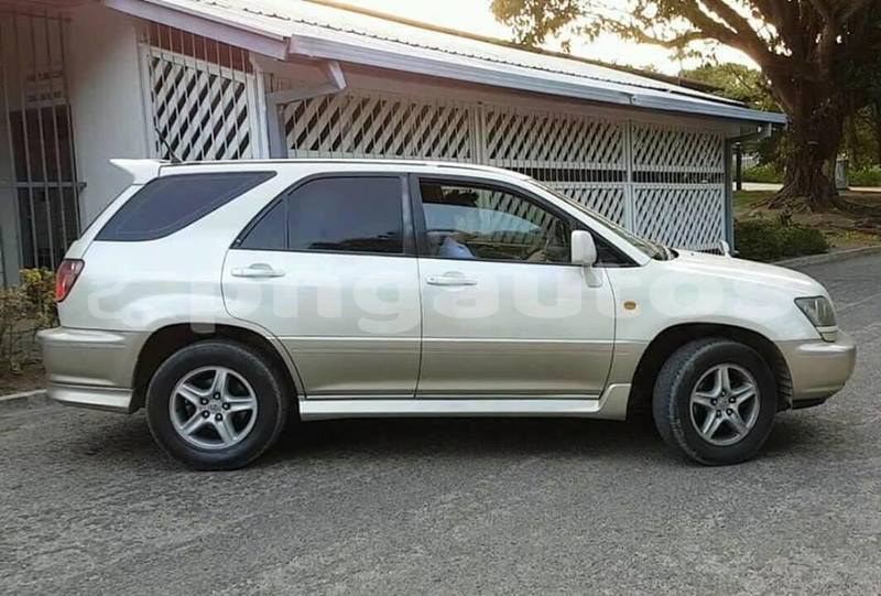 Big with watermark post id 3703 ozatw