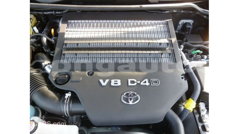 Big with watermark c517b7bc 194b 427c 831f e15948be6f0e