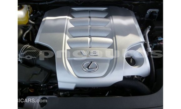 Buy Import Lexus LX Other Car in Import - Dubai in Enga Buy Import Lexus LX Other Car in Import - Dubai in Enga