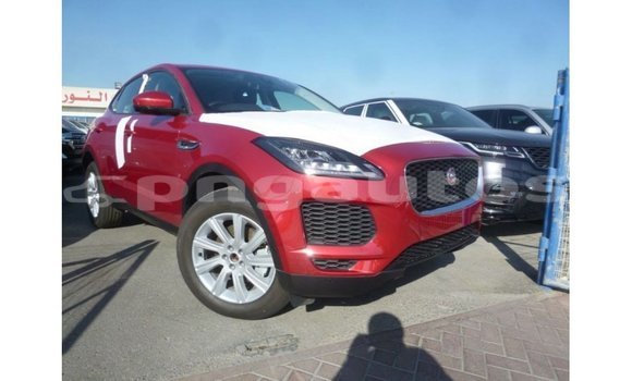 Buy Import Jaguar E-Pace Red Car in Import - Dubai in Enga