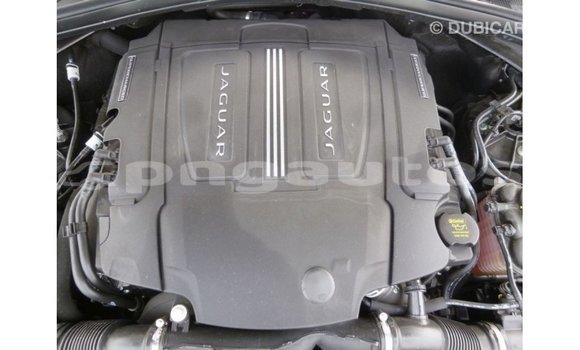 Buy Import Jaguar F-Pace Black Car in Import - Dubai in Enga Buy Import Jaguar F-Pace Black Car in Import - Dubai in Enga