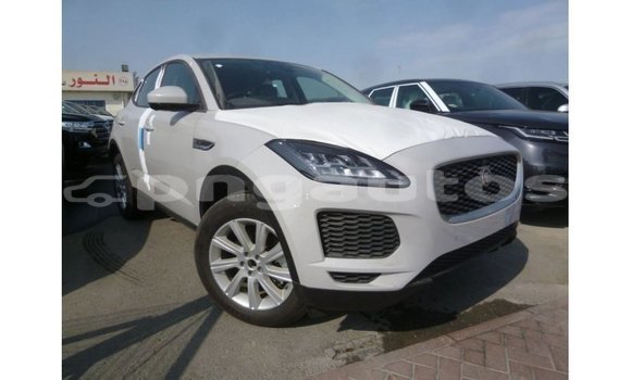 Buy Import Jaguar E-Pace White Car in Import - Dubai in Enga