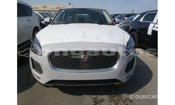 Buy Import Jaguar E-Pace White Car in Import - Dubai in Enga Buy Import Jaguar E-Pace White Car in Import - Dubai in Enga