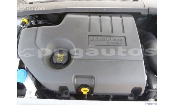 Buy Import Jaguar E-Pace White Car in Import - Dubai in Enga Buy Import Jaguar E-Pace White Car in Import - Dubai in Enga