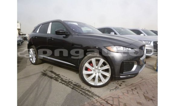 Buy Import Jaguar F-Type Black Car in Import - Dubai in Enga