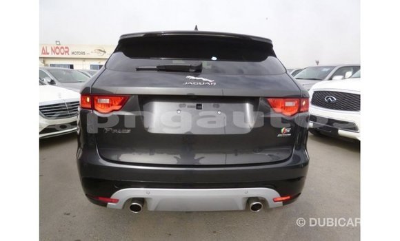 Buy Import Jaguar F-Type Black Car in Import - Dubai in Enga Buy Import Jaguar F-Type Black Car in Import - Dubai in Enga
