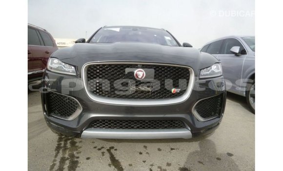 Buy Import Jaguar F-Type Black Car in Import - Dubai in Enga Buy Import Jaguar F-Type Black Car in Import - Dubai in Enga