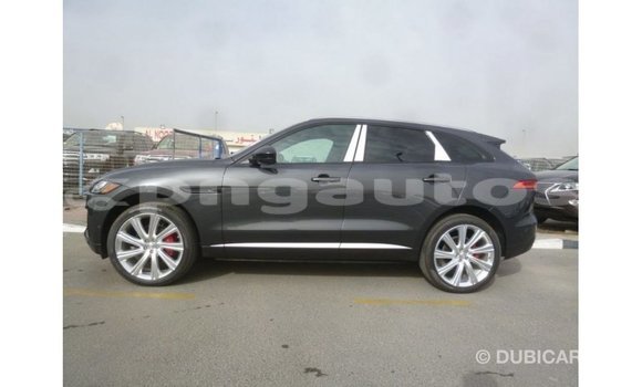 Buy Import Jaguar F-Type Black Car in Import - Dubai in Enga Buy Import Jaguar F-Type Black Car in Import - Dubai in Enga