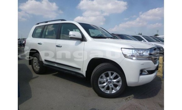 Buy Import Toyota Land Cruiser White Car in Import - Dubai in Enga Buy Import Toyota Land Cruiser White Car in Import - Dubai in Enga