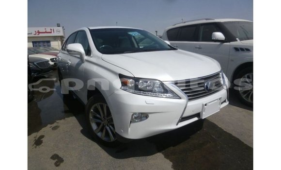 Buy Import Lexus RX White Car in Import - Dubai in Enga Buy Import Lexus RX White Car in Import - Dubai in Enga