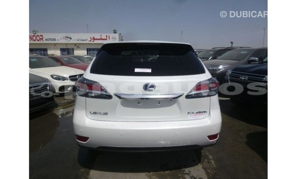 Buy Import Lexus RX White Car in Import - Dubai in Enga Buy Import Lexus RX White Car in Import - Dubai in Enga