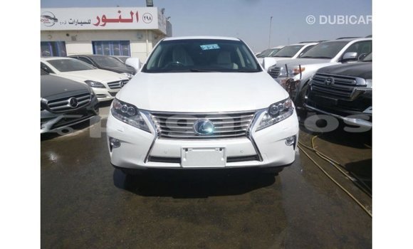 Buy Import Lexus RX White Car in Import - Dubai in Enga Buy Import Lexus RX White Car in Import - Dubai in Enga