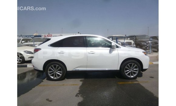Buy Import Lexus RX White Car in Import - Dubai in Enga Buy Import Lexus RX White Car in Import - Dubai in Enga
