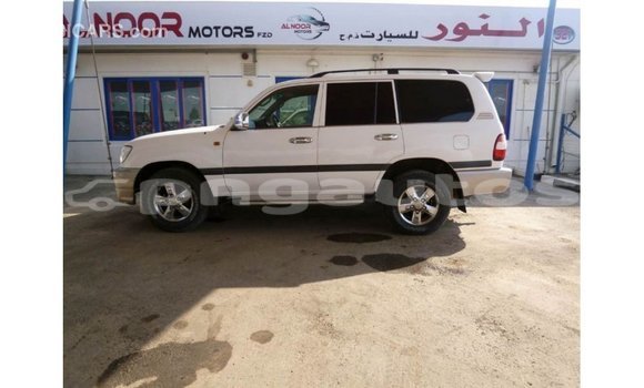 Buy Import Toyota Land Cruiser White Car in Import - Dubai in Enga Buy Import Toyota Land Cruiser White Car in Import - Dubai in Enga