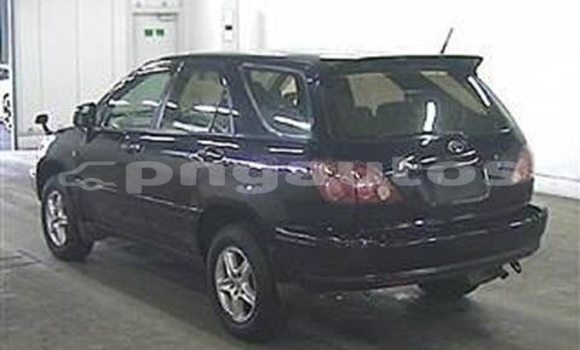 Buy Used Toyota Harrier Other Car in Monara in Madang Buy Used Toyota Harrier Other Car in Monara in Madang