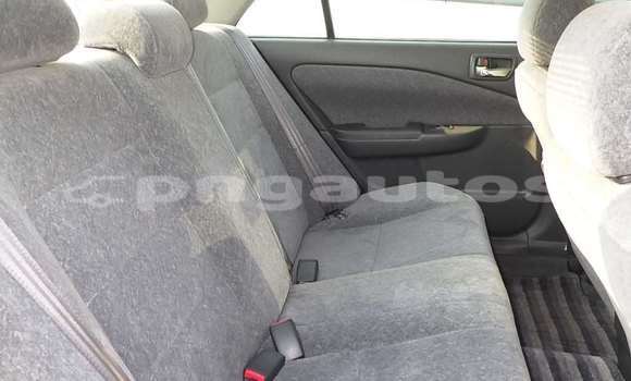 Buy Used Toyota Carina Other Car in Wabag in Enga Buy Used Toyota Carina Other Car in Wabag in Enga