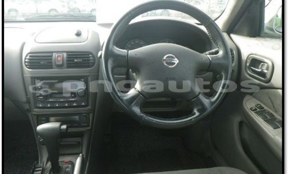 Buy Used Nissan Sunny Other Car in Madang in Madang Buy Used Nissan Sunny Other Car in Madang in Madang