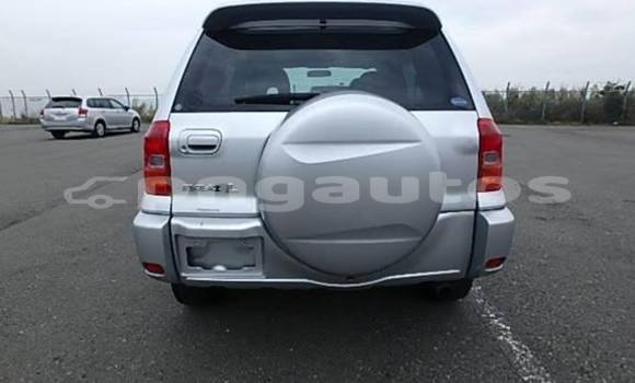Buy Used Toyota RAV4 Other Car in Wau in Morobe Buy Used Toyota RAV4 Other Car in Wau in Morobe