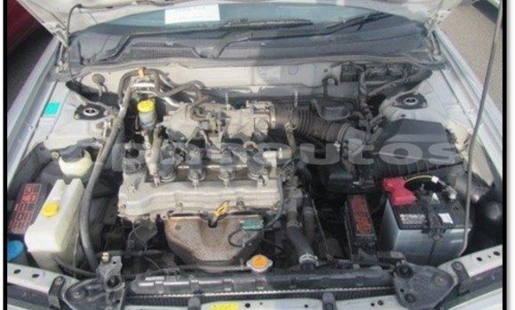 Buy Used Nissan Sunny Other Car in Madang in Madang Buy Used Nissan Sunny Other Car in Madang in Madang