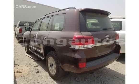 Buy Import Toyota Land Cruiser Brown Car in Import - Dubai in Enga Buy Import Toyota Land Cruiser Brown Car in Import - Dubai in Enga