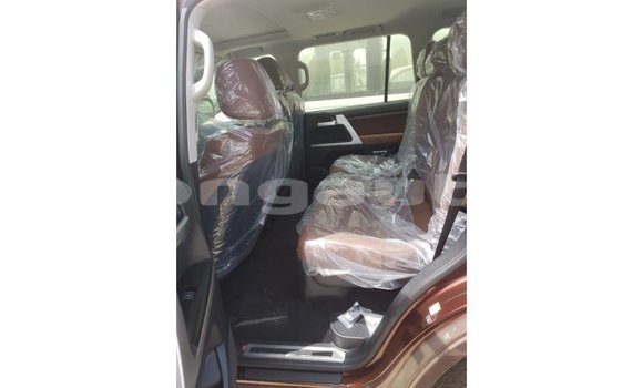 Buy Import Toyota Land Cruiser Brown Car in Import - Dubai in Enga Buy Import Toyota Land Cruiser Brown Car in Import - Dubai in Enga