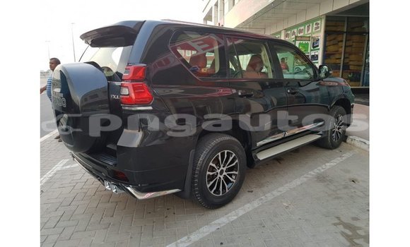 Buy Import Toyota Prado Black Car in Import - Dubai in Enga Buy Import Toyota Prado Black Car in Import - Dubai in Enga