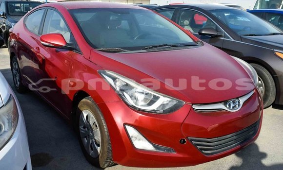 Buy Import Hyundai Elantra Red Car in Import - Dubai in Enga Buy Import Hyundai Elantra Red Car in Import - Dubai in Enga