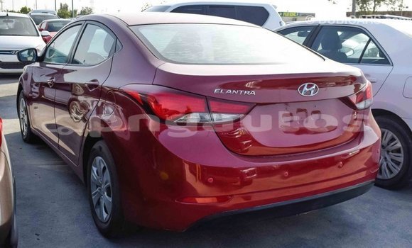 Buy Import Hyundai Elantra Red Car in Import - Dubai in Enga Buy Import Hyundai Elantra Red Car in Import - Dubai in Enga
