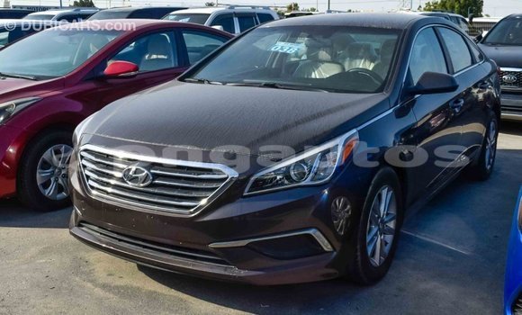Buy Import Hyundai Sonata Brown Car in Import - Dubai in Enga Buy Import Hyundai Sonata Brown Car in Import - Dubai in Enga