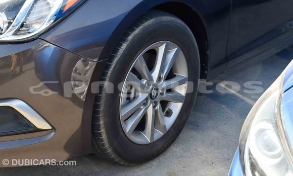 Buy Import Hyundai Sonata Brown Car in Import - Dubai in Enga Buy Import Hyundai Sonata Brown Car in Import - Dubai in Enga