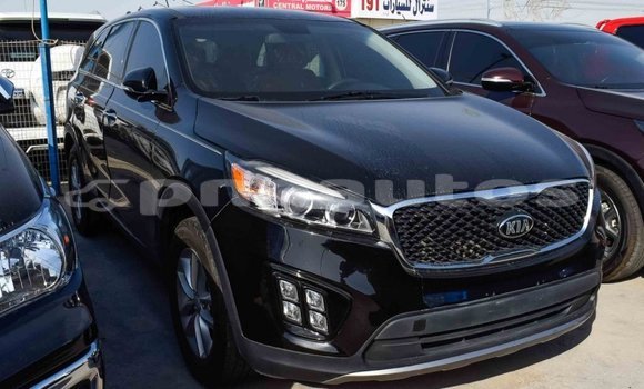 Buy Import Kia Sorento Black Car in Import - Dubai in Enga Buy Import Kia Sorento Black Car in Import - Dubai in Enga