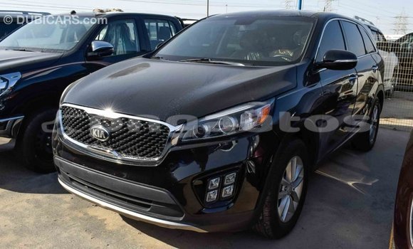 Buy Import Kia Sorento Black Car in Import - Dubai in Enga Buy Import Kia Sorento Black Car in Import - Dubai in Enga