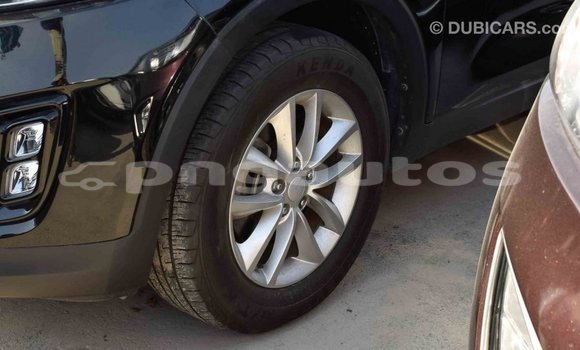 Buy Import Kia Sorento Black Car in Import - Dubai in Enga Buy Import Kia Sorento Black Car in Import - Dubai in Enga