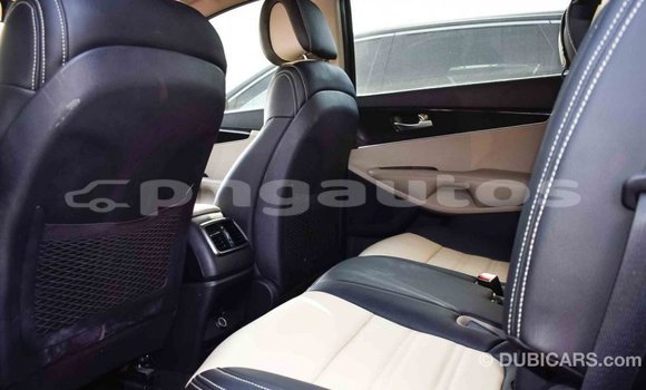 Buy Import Kia Sorento Brown Car in Import - Dubai in Enga Buy Import Kia Sorento Brown Car in Import - Dubai in Enga